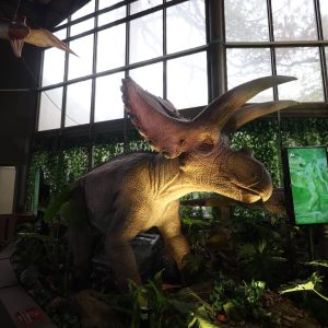 Test Combo Plus +IT08