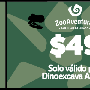 Entrada<br> Dinoexcava Aragón