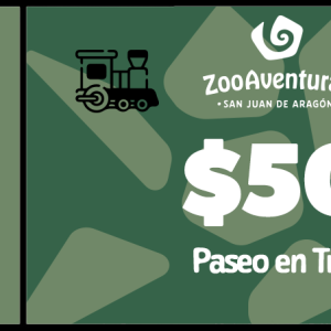 Entrada<br>Paseo en Tren Aragón