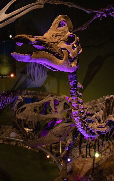 dinosaurios cdmx