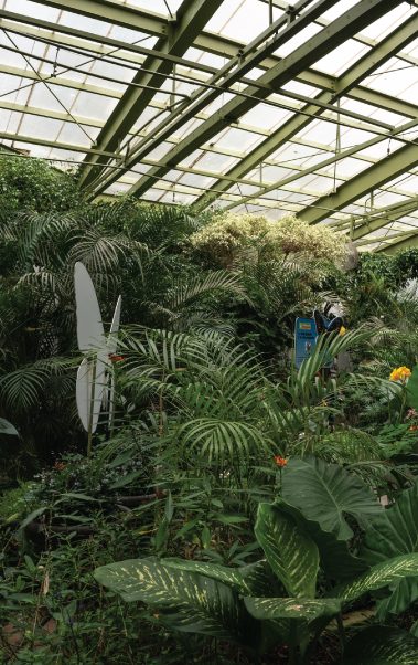 Mariposario Chapultepec